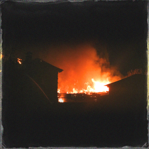 我年人看一级黄视频
