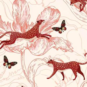 我年人看一级黄视频
