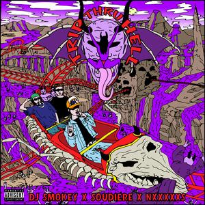 我年人看一级黄视频
