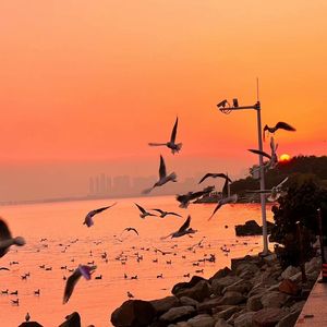 我年人看一级黄视频
