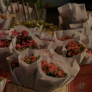 我年人看一级黄视频
