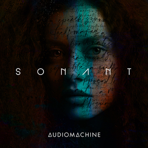 我年人看一级黄视频
