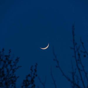 我年人看一级黄视频
