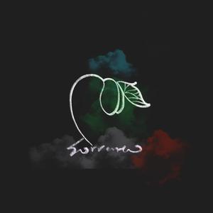 我年人看一级黄视频
